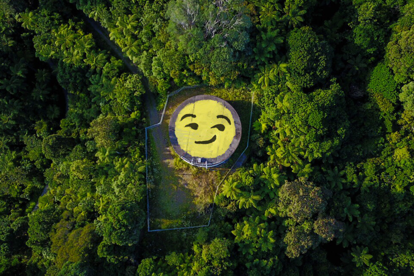 Emoji-ffiti, New Zealand, 2018.