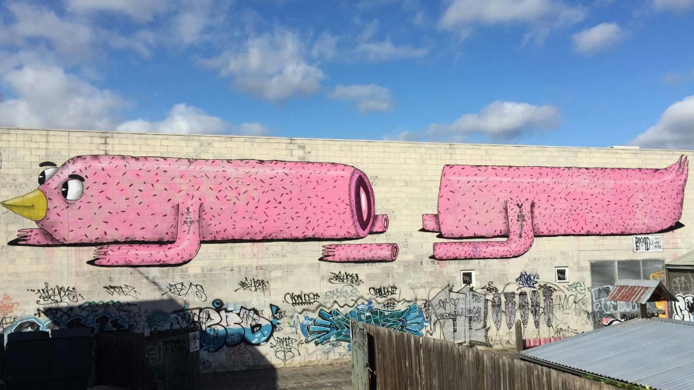 Pinky disection, Brunswick, Melbourne 2015