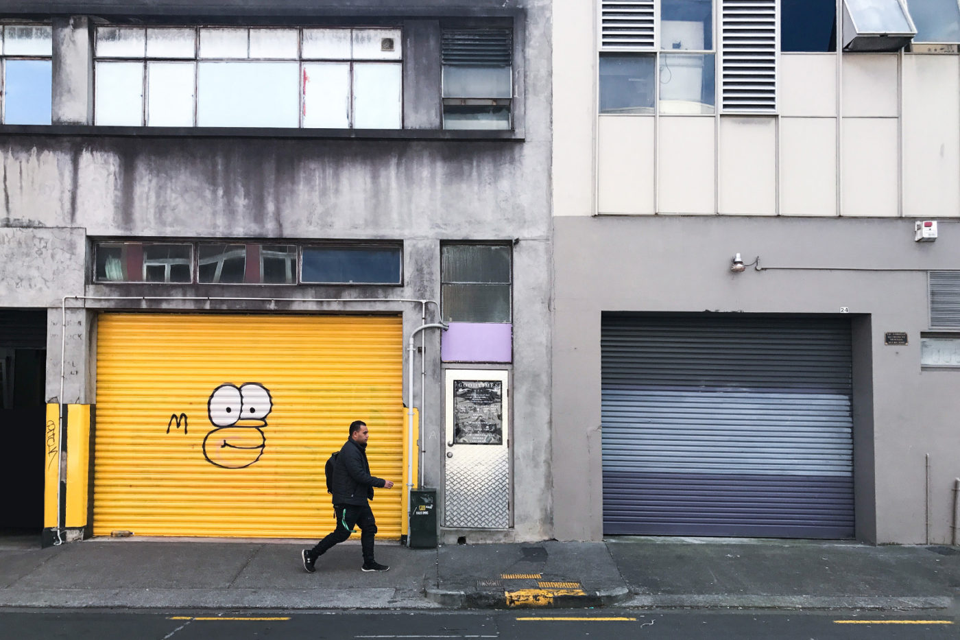 Homer, Auckland, 2017